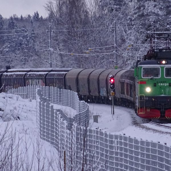 Grönt Green Cargo lok, vinter, snö, tåg
