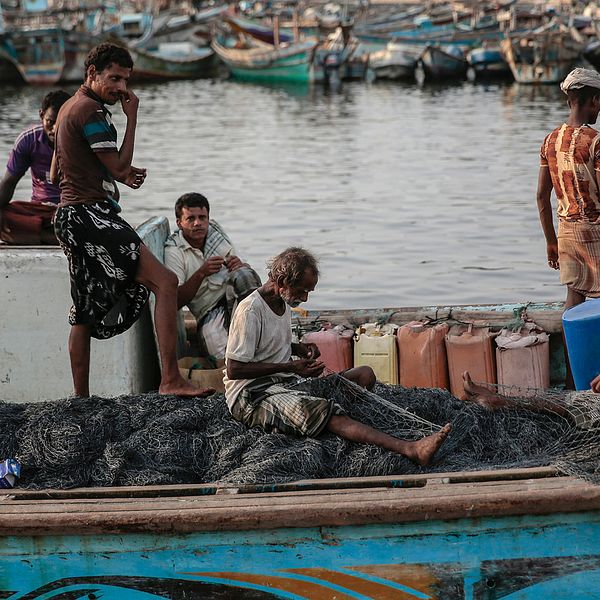 Fiskare i al-Hudaydah, Jemen. Arkivbild.