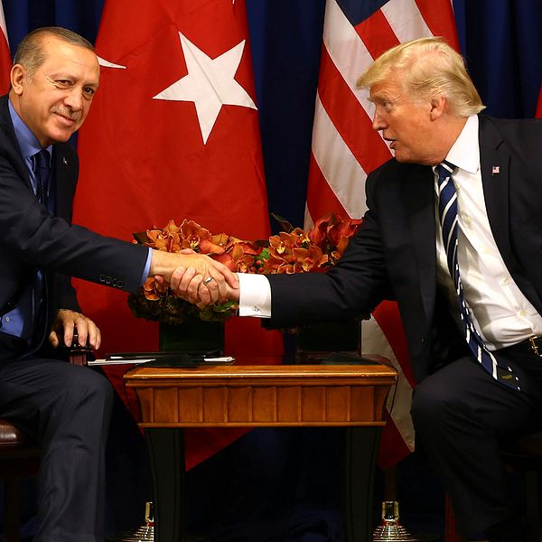 Turkiske presidenten Recep Tayyip Erdogan skakar hand inför ett möte 2017.