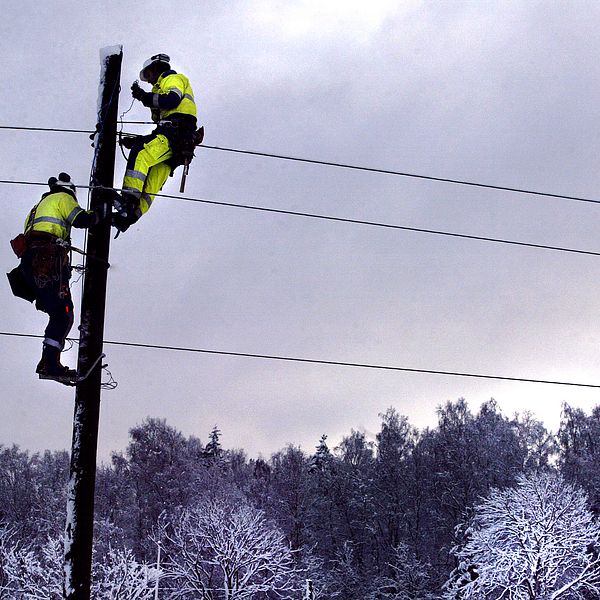 strömavbrott, elledning, el, strömlöst, elektriker, tt