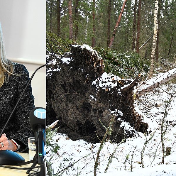 Annika Viklund, vd Vattenfall Eldistribution, talar vid en pressträff tillsammans med Norrtälje kommun med anledning av stormen Alfrida.