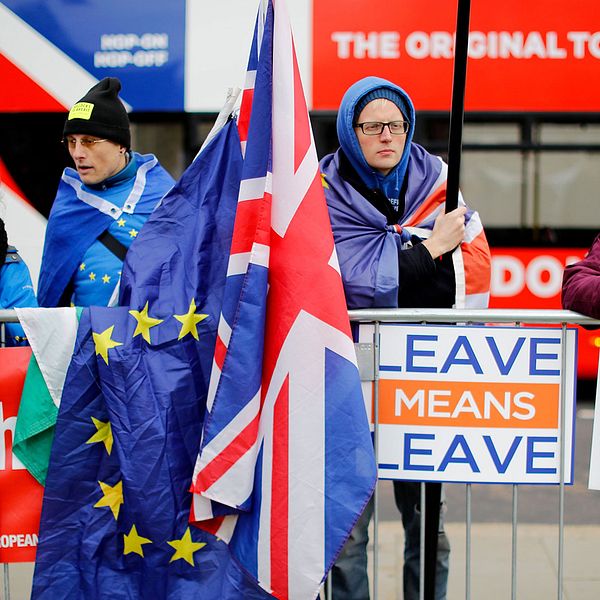 Brexit-demonstranter, både för och mot