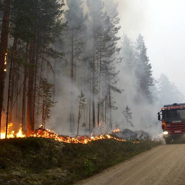 Varannan brandman: Resursbrist förvärrade sommarens bränder