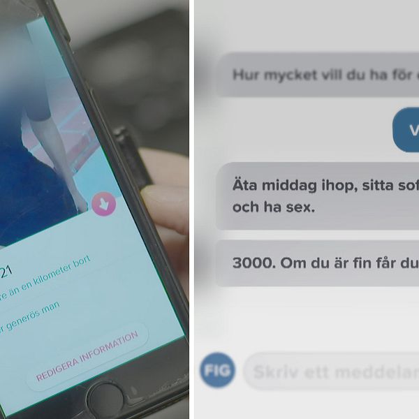 SVT:s fejkprofil på Tinder som erbjuder människor att köpa sex samt en nätkonversation med en person som visar intresse för att köpa sex.