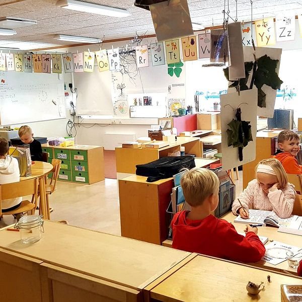 järna friskola klass 1