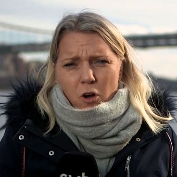 SVT:s USA-korrespondent Carina Bergfeldt
