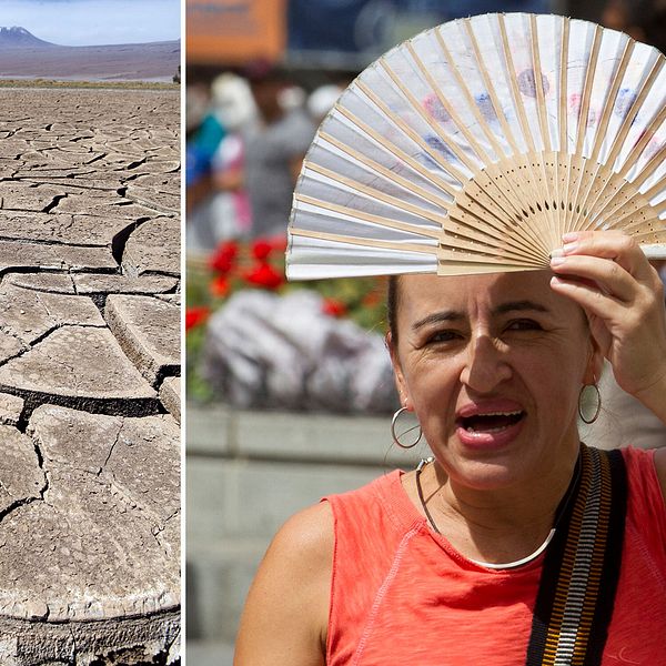 Sommartemperaturen i till exempel Spanien steg till över 40 grader under 2018