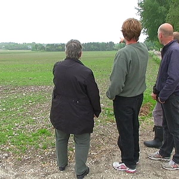 20 markägare på norra Gotland ger sig nu in i vindkraftsbranschen. Om miljardprojektet går i lås så handlar det om den enskilt största vindkraftssatsningen någonsin på Gotland.