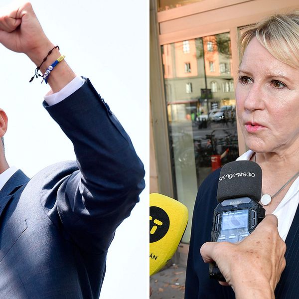 Venezuelas oppositionsledare Juan Guaido och Sverige utrikesminister Margot Wallström