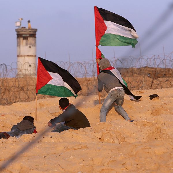 ”Hamzeh Dalis kommer från Gaza, en del av Palestina som man för närvarande i princip inte avvisar/utvisar någon till på grund av säkerhetsläget”, menar parets advokat Kristian Larsson i Karlskrona.