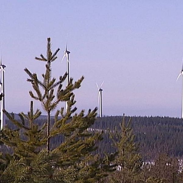Det lutar nu åt ett nej för de två planerade vindkraftsparkerna norr om Sollefteå.
