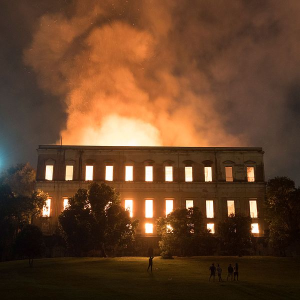 Runt 2000 föremål har räddats ur askan efter branden på Brasiliens nationalmuseum.