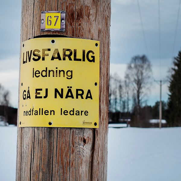 Närbild på ledningsstolpe.