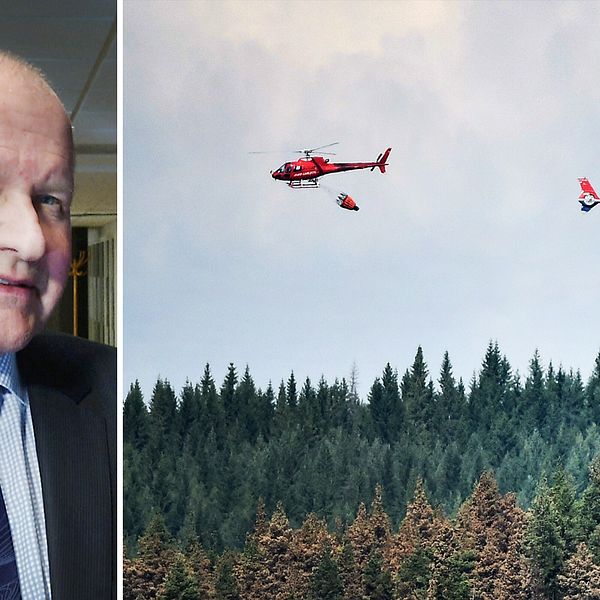 MSB:s generaldirektör Dan Eliasson säger att han är övertygad om att Sverige kommer att kunna bygga en nationell resurs med privata brandhelikoptrar.