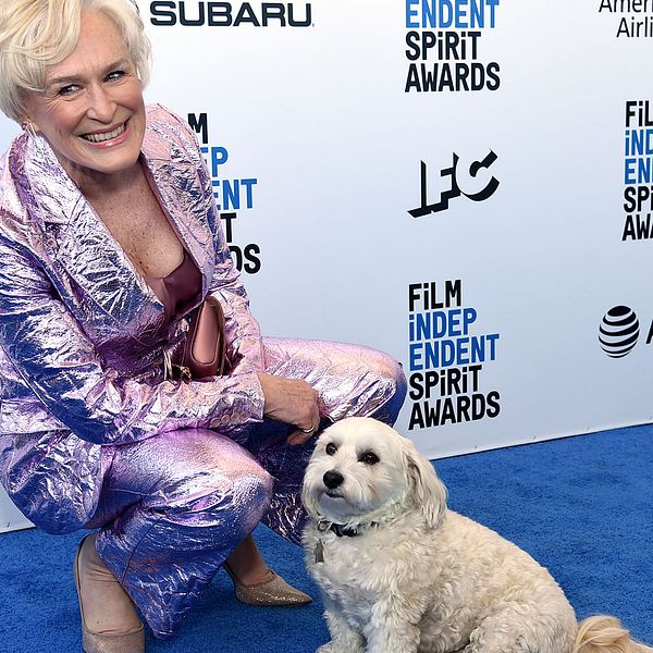 Glenn Close och hennes hund Pip gör entré på 2019 års Independent spirit awards, där skådespelerskan tog hem priset för bästa kvinnliga huvudroll.