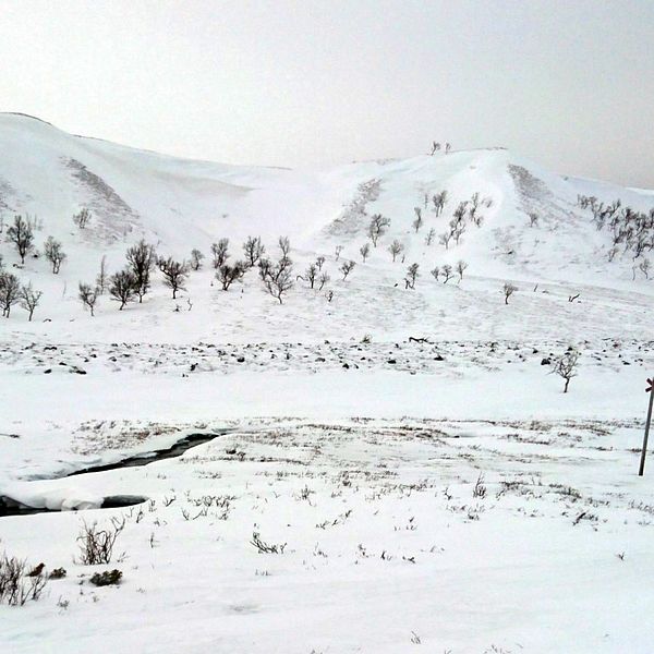 Isjödalen.
