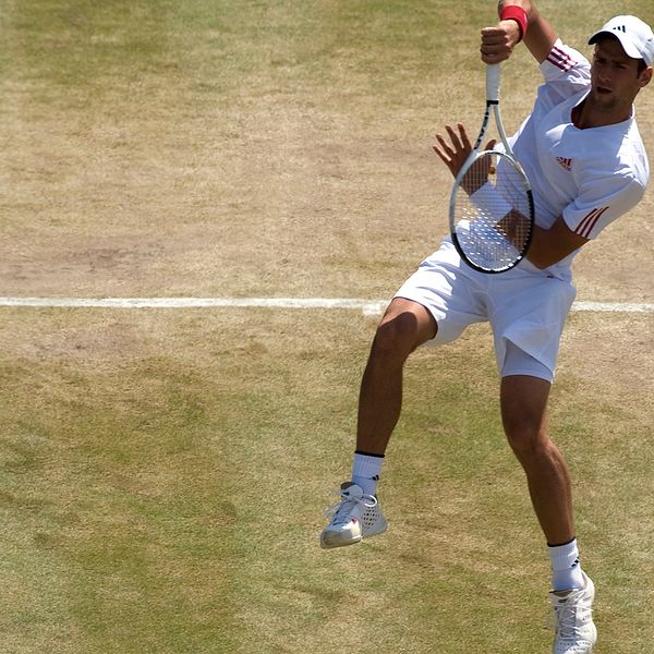 qNovak Djokovic under Wimbledon.