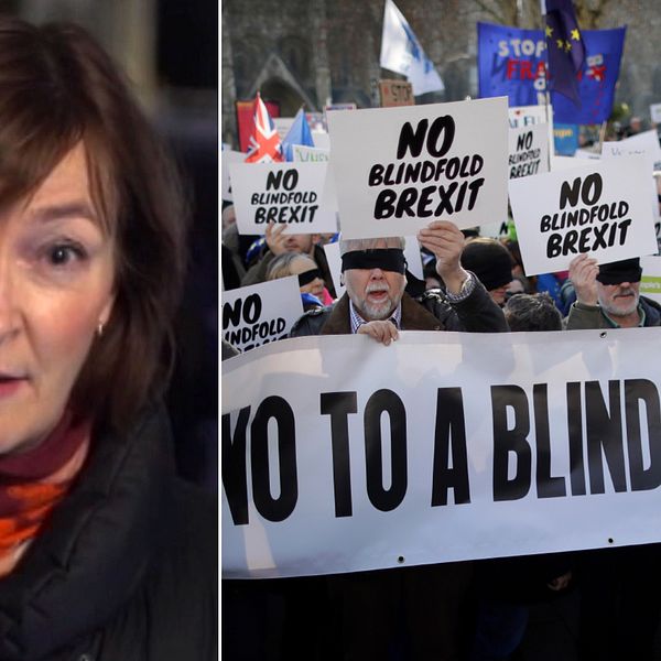 ”Theresa May har förlorat kontrollen över sin regering”, säger SVT:s utsända Anna-Maja Persson. Till höger en av flera brexit-protester i London.