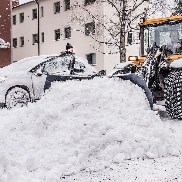 Genrebild. Traktor som skyfflar bort snö bredvid en bil. Kvinnan i bilen öppnar dörren och ser ut att bli inplogad av en vall.