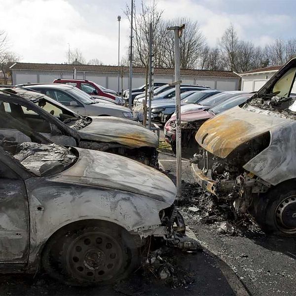 Sju bilar skadades i en bilbrand på Håsten i Varbergs kommun under natten till söndagen.