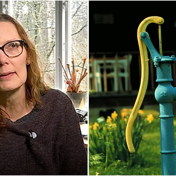 Susanne Pettersson, chef för Region Gotlands VA-avdelning, bevakar noga grundvattennivåerna.
