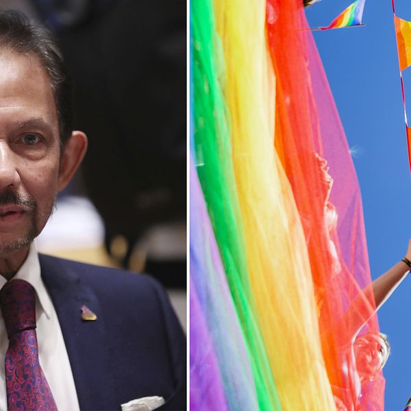 Hassanal Bolkiah och prideflaggor.