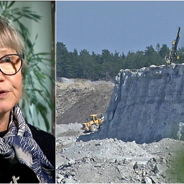 Anna-Lena Fritz, enhetschef på länsstyrelsen på Gotland.