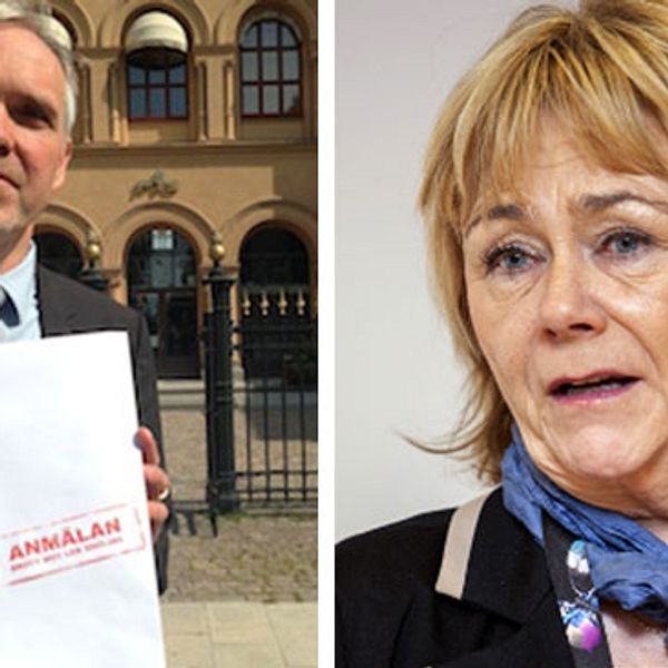 Internetoperatören Bahnhofs vd John Karlung kallar utredningen om det svenska datalagringsdirektivet för ett ”beställningsjobb av Beatrice Ask”.