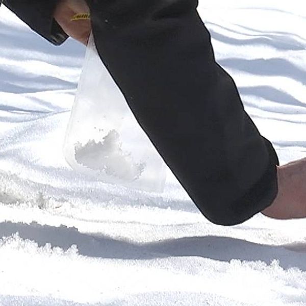 Man tar upp snö från ett järvspår och lägger i en plastpåse
