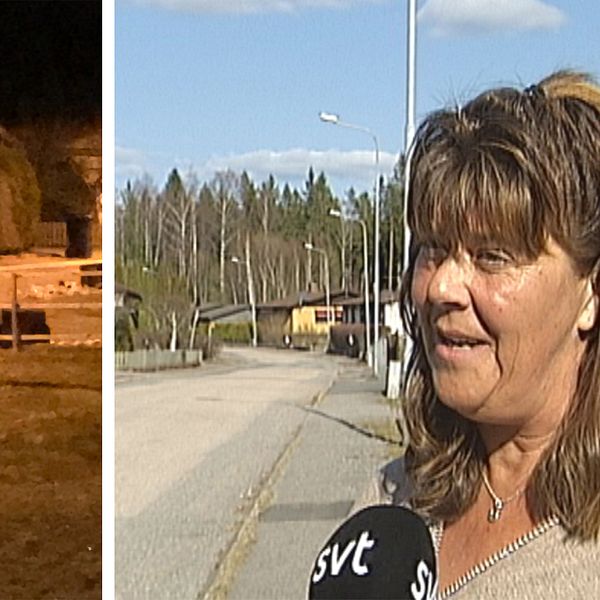 Delad bild. Till vänster en bild tagen på natten. Ett stort vildsvin äter ur en vält soptunna i skenet av gatlyktorna. Till höger syns Annika Gren Persson på gatan utanför sitt hus.