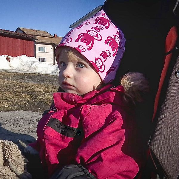 Ruth Lindgren, 2,5 år, stöld av barnvagn