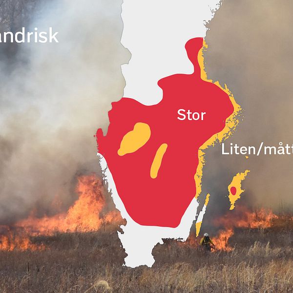 Gräsbrandrisk. Röd=stor, Gul= måttlig eller liten, Vit=ingen