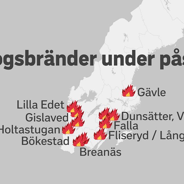 Flera skogsbränder har brutit ut i stora delar av södra Sverige under påskhelgen.