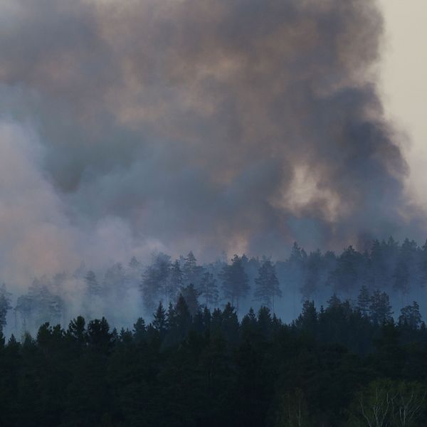 Brandrök stiger mot himlen från skogen i Tjällmo, Motala kommun.