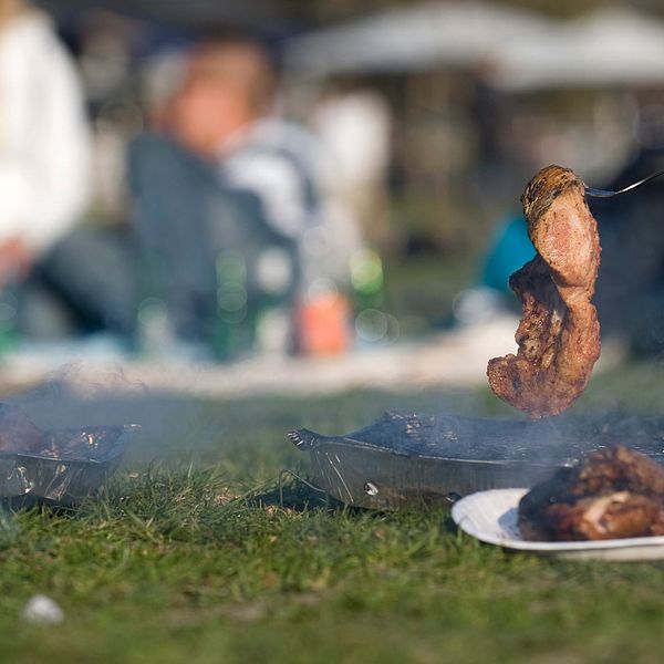 Grillning på engångsgrill i Rålambshovsparken i Stockholm. Men snart kan det vara ett minne blott.