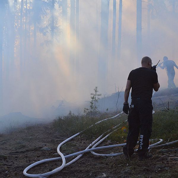 Rökfyllt i Vrinneviskogen.