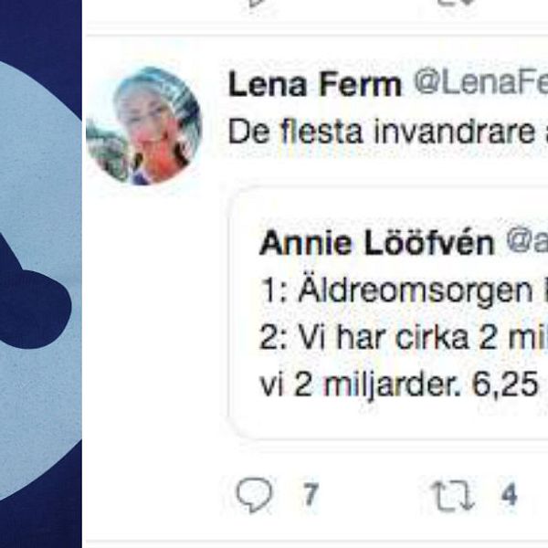 Moderaten Lena Ferm twittrade att alla invandrare är analfabeter