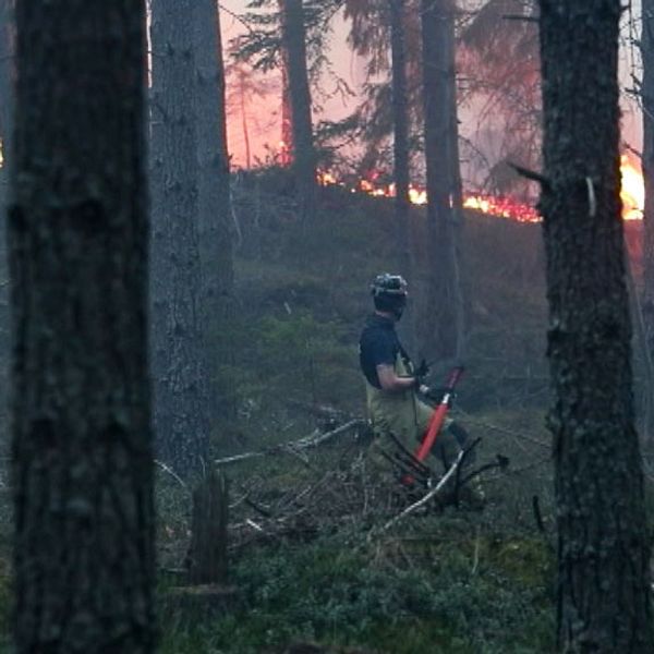 brandman bekämpar skogsbrand godegård norr om Motala
