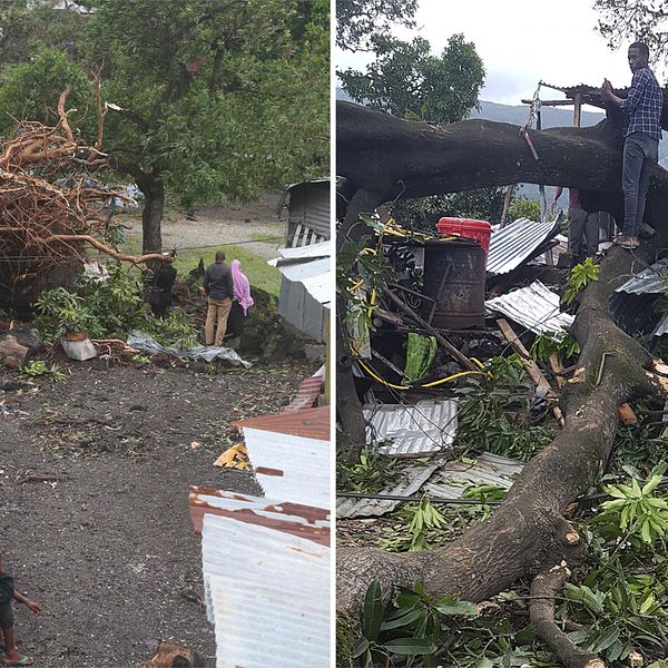 Flera hus har förstörts av fallande träd i Moroni, Comoros, efter att ovädret Kenneth drog in över Moçambique.