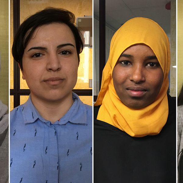 Porträtt på de fyra flickorna Petra och Marzieh från Afghanistan, Amal från Somalia och Masoumeh från Iran.