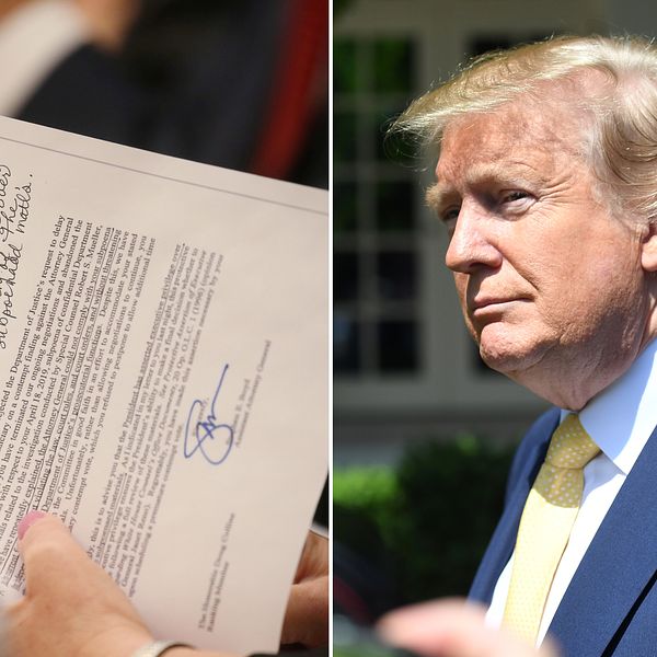 En representant i justitiekommittén håller ett dokument i handen. President Donald Trump befinner sig utanför Vita Huset.