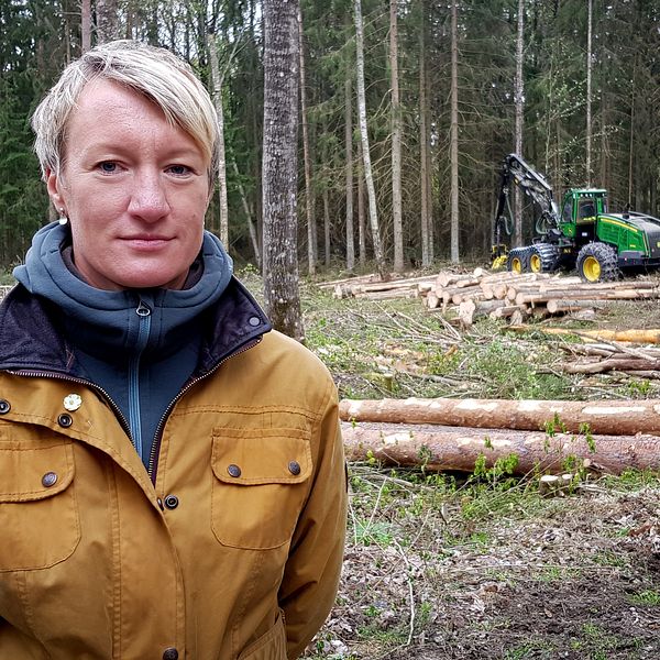 Caroline Löfmarck, förvaltare på enheten för naturvård på Örebro kommun, har en gul jacka på sig och står framför ett område där skog avverkats.