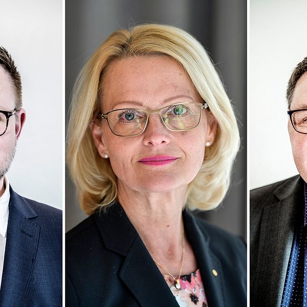 Toppkandidaterna för Centerpartiet, Socialdemokraterna och Sverigedemokraterna heter Fredrick Federley, Heléne Fritzon och Peter Lundgren.