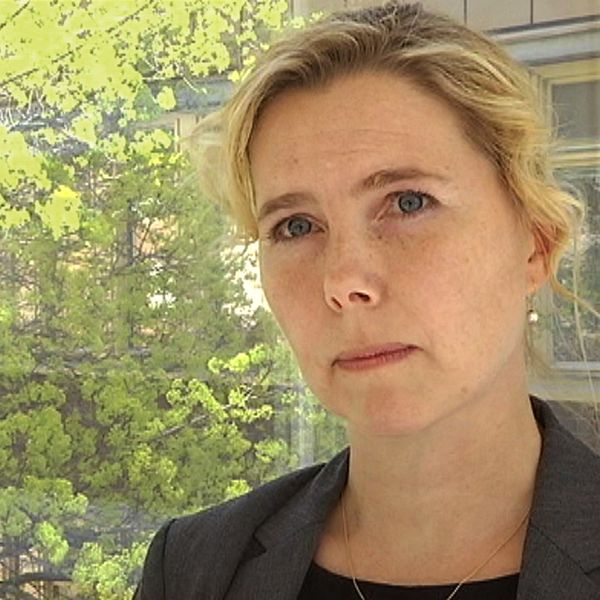 Porträtt Karin Everitt, åklagare, som står framför ett fönster