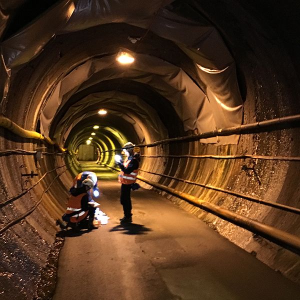 Tre forskare står i Äspötunneln under marken och lyser med pannlampor på prover med bakterier.