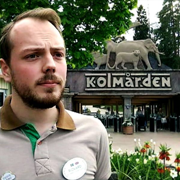 Rickard Sjödén, pressansvarig på Kolmårdens djurpark.