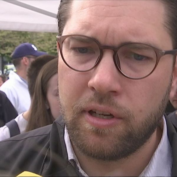 Jimmie Åkesson (SD)