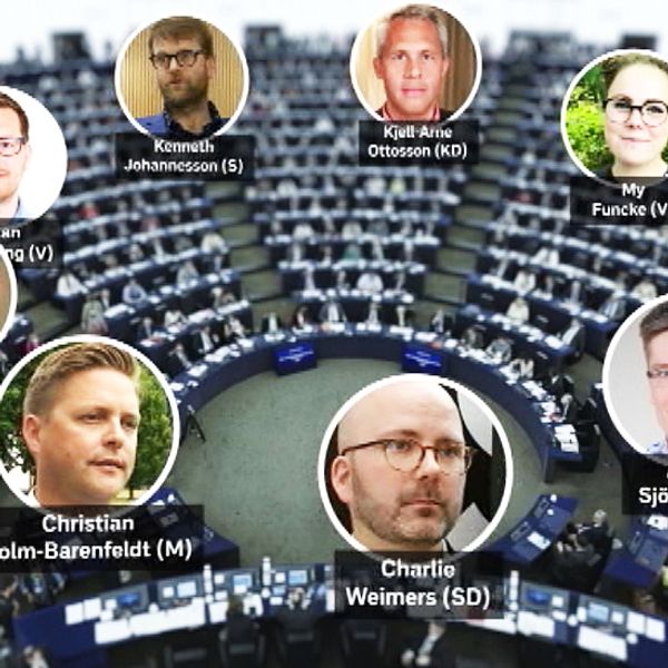 Känner du igen våra värmländska EU-kandidater?