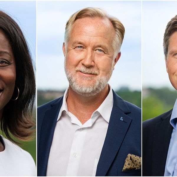 Bild på Liberalernas kandidater till partiledare, Nyamko Sabuni, Johan Pehrson och Erik Ullenhag.