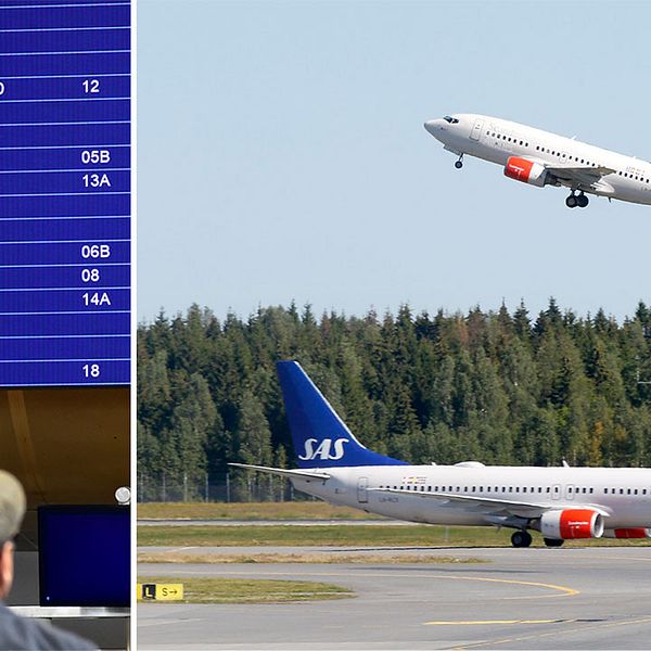 Förtvivlade medarbetare vittnar om hur yrkesroller nedvärderas och beskriver en ”management by fear”-kultur.